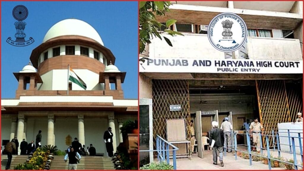 Punjab and Haryana High Court order criticism