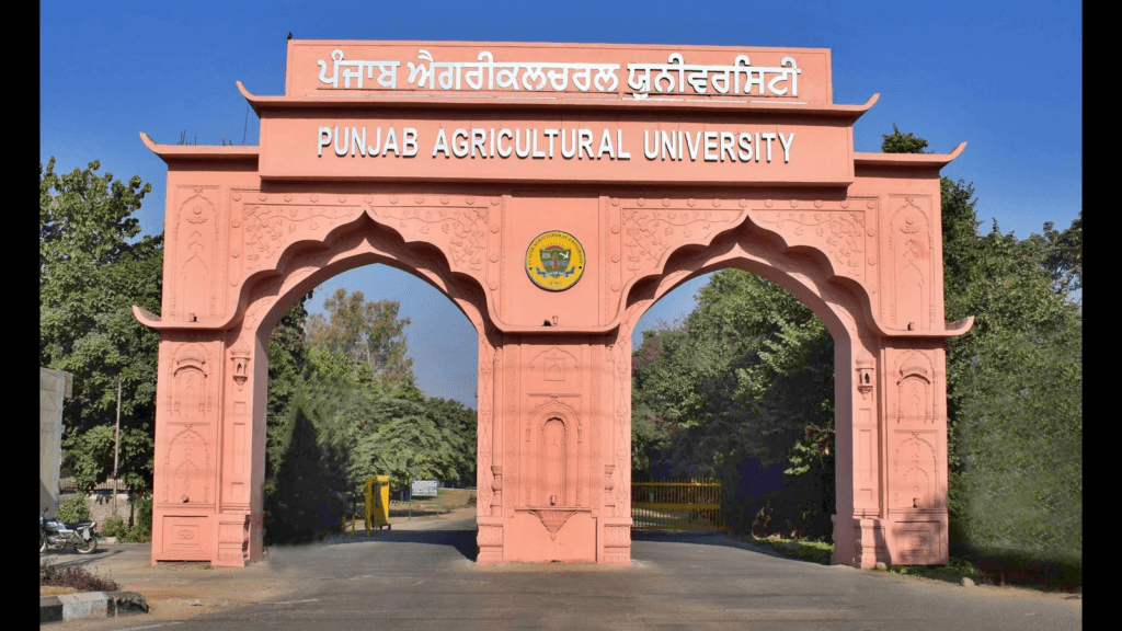 Ludhiana University Ludhiana University, organic farming requires education