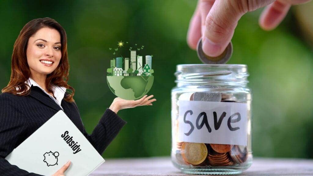 What is Subsidy and What are the benefits? you should know