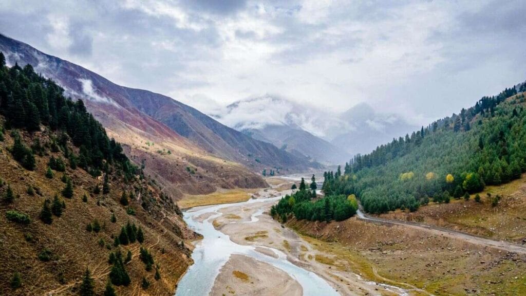 3 3 1 traveling to bhutan