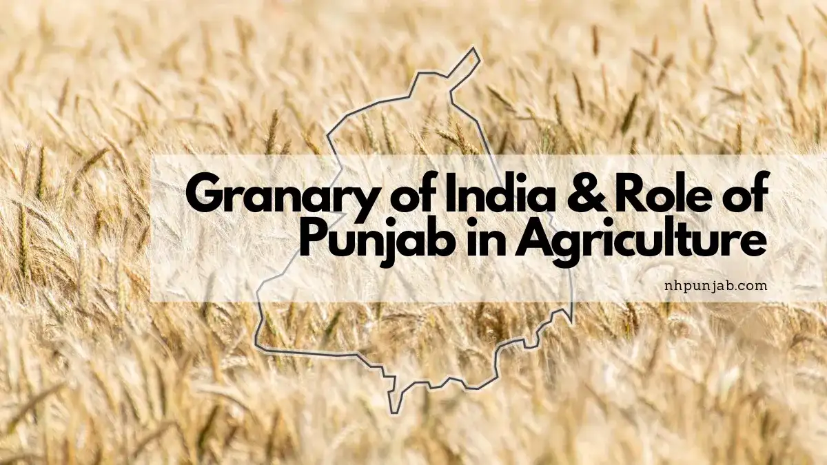 Granary of India