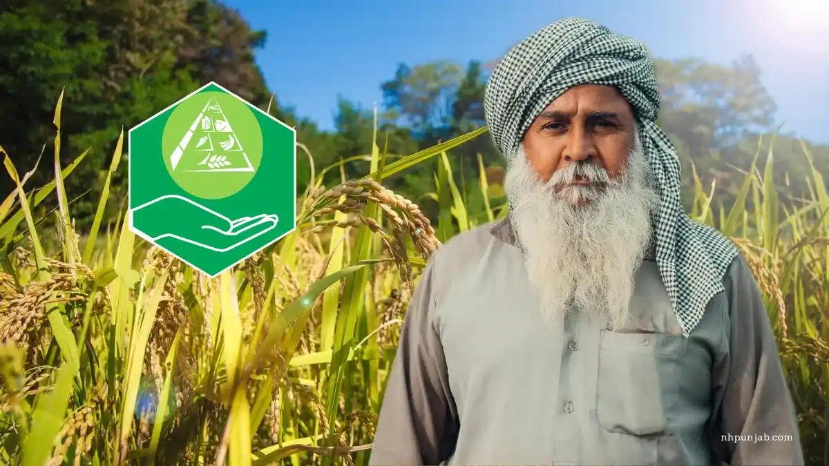 Punjab Farmers Subsidies Benefit