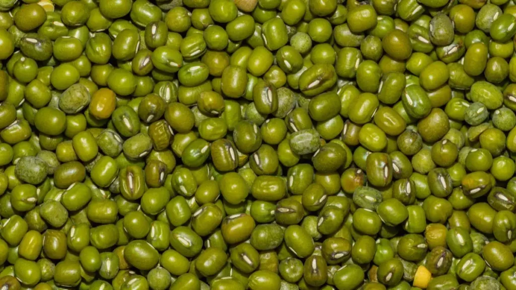 Moong dal 1 How much protein does moong dal contain per 100g?