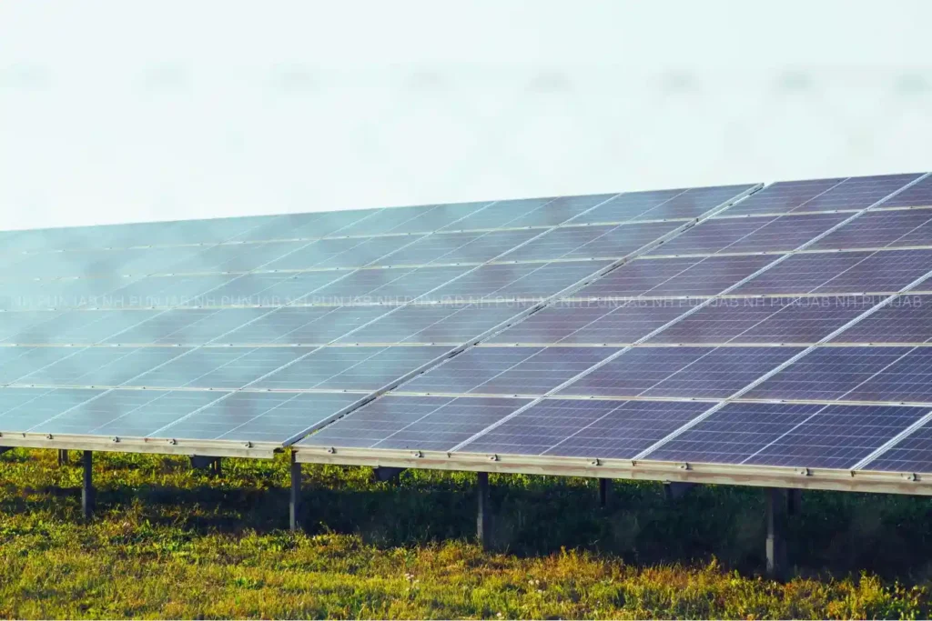Closeup view of solar panel array highlighting 300 MW solar tender punjab for sustainable energy